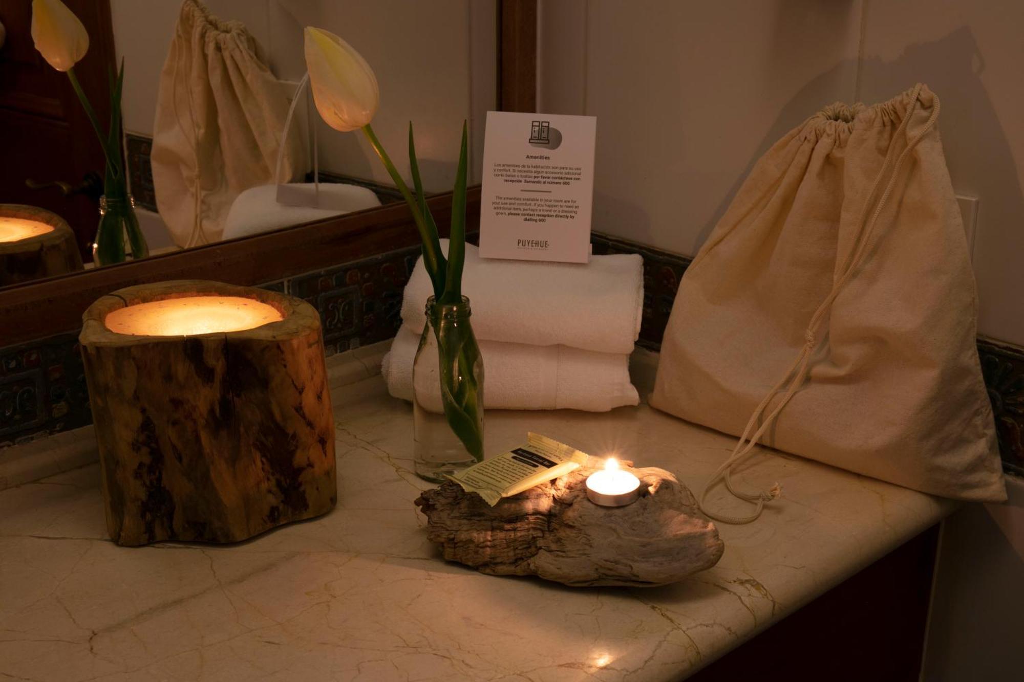 Termas Wellness&spa Puyehue