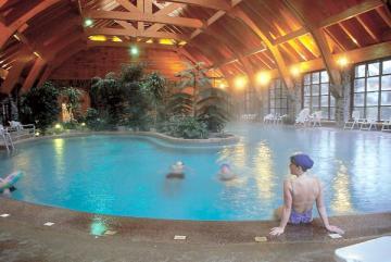 Termas Wellness&spa Puyehue